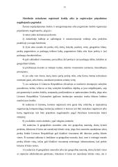 Prekės ženklo naudojimo koncepcija 11 puslapis