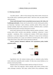 Prekės ženklo naudojimo koncepcija 13 puslapis