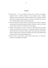 Prekės ženklo naudojimo koncepcija 17 puslapis