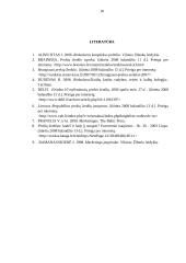 Prekės ženklo naudojimo koncepcija 18 puslapis