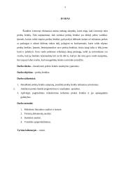 Prekės ženklo naudojimo koncepcija 3 puslapis