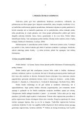 Prekės ženklo naudojimo koncepcija 4 puslapis