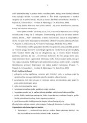 Prekės ženklo naudojimo koncepcija 5 puslapis