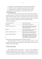 Prekės ženklo naudojimo koncepcija 6 puslapis