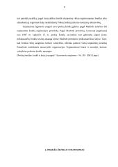 Prekės ženklo naudojimo koncepcija 8 puslapis