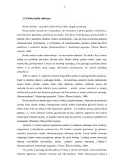 Prekės ženklo naudojimo koncepcija 9 puslapis