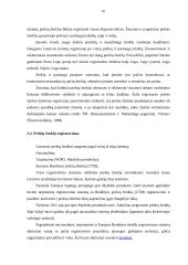 Prekės ženklo naudojimo koncepcija 10 puslapis