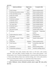 Prekyba nepriklausomybę atkūrusioje Lietuvoje 13 puslapis