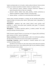 Prekių asortimentas ir jo vaidmuo rinkoje 11 puslapis