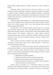 Prekių asortimentas ir jo vaidmuo rinkoje 13 puslapis