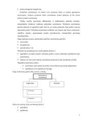 Prekių asortimentas ir jo vaidmuo rinkoje 5 puslapis