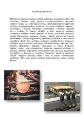 Statyba ir medžio apdirbimas (referatas) 5 puslapis