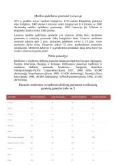 Statyba ir medžio apdirbimas (referatas) 6 puslapis