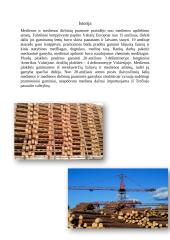 Statyba ir medžio apdirbimas (referatas) 7 puslapis