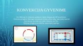 Kas yra konvekcija? 4 puslapis