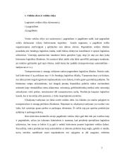 Prekių pardavimas: UAB "Norfos mažmena" 2 puslapis