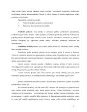 Prekių pardavimas: UAB "Norfos mažmena" 5 puslapis