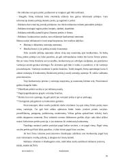 Prekių paskirstymo kanalo parinkimas 16 puslapis