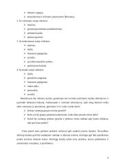 Prekių paskirstymo kanalo parinkimas 6 puslapis