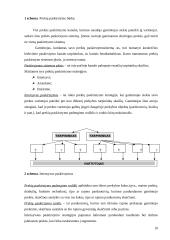 Prekių paskirstymo kanalo parinkimas 10 puslapis