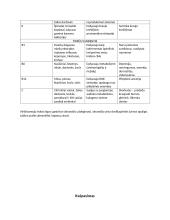 Virškinimo, kvėpavimo konspektai 6 puslapis