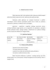 Prekių transportavimas ir jo įtaka prekių kokybei 17 puslapis