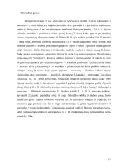 Presavimo įrenginiai 15 puslapis