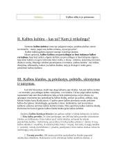 Prestižinės kalbos požymiai 6 puslapis