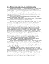 Prestižinės kalbos požymiai 8 puslapis