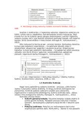 Vadybos funkcijų teorinė analizė 9 puslapis