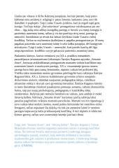 Asmeninės laimės ir pareigos konfliktas lietuvių literatūroje (viešoji kalba) 3 puslapis