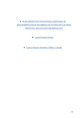 Šunų prostatitas 12 puslapis