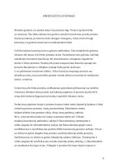 Šunų prostatitas 8 puslapis