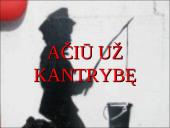 Priklausomybės ligos, jų paplitimas bei prevencijos programos Lietuvoje 16 puslapis