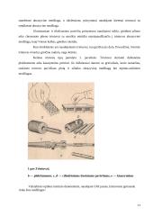 Pritrynimas 11 puslapis