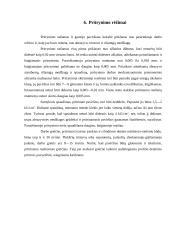 Pritrynimas 13 puslapis