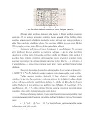 Pritrynimas 15 puslapis