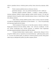 Pritrynimas 6 puslapis