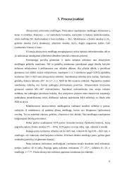 Pritrynimas 9 puslapis