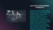 Skaidrės. Lietuvos kariuomenė 4 puslapis