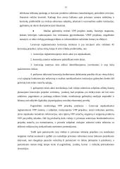 Privačios ir viešosios partnerystės projektų privalumai ir trūkumai 10 puslapis