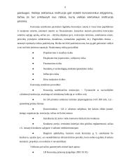 Privačios ir viešosios partnerystės projektų privalumai ir trūkumai 5 puslapis