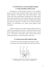 Transformatorių atšakų skaičiavimas ir parinkimas 5 puslapis