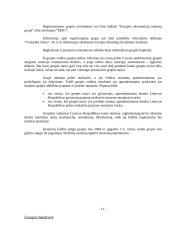 Privačių įmonių formos ir steigimo būdai 11 puslapis