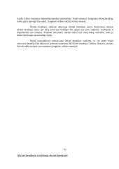 Privačių įmonių formos ir steigimo būdai 6 puslapis