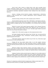 Privačių įmonių formos ir steigimo būdai 7 puslapis