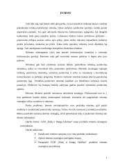 Produkto rėmimo strategijos pasirinkimas: UAB "Dažų ir Dangų Fabrikas" 2 puslapis