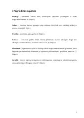 Profesijų prestižas 4 puslapis