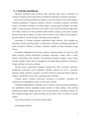 Profesijų prestižas 5 puslapis