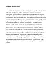 Profesinė etika 4 puslapis